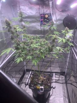 Review photo #2