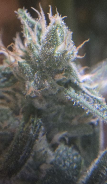 Review photo #2
