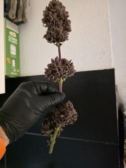 Review photo #3