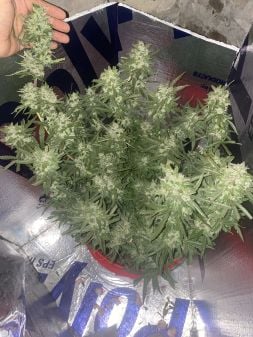 Review photo #3