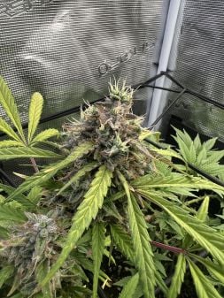 Review photo #3