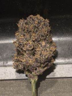 Review photo #5