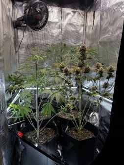 Review photo #3