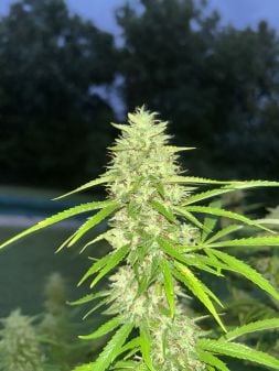 Review photo #4