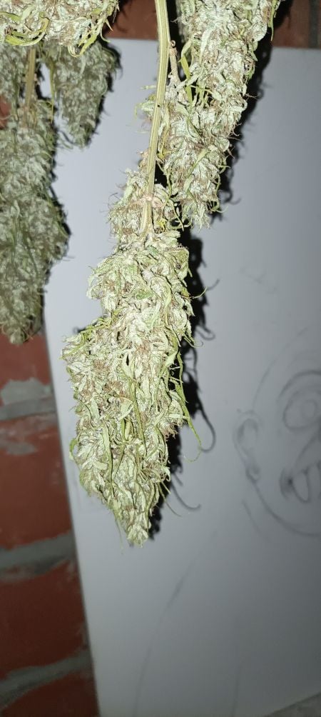 Review photo #4