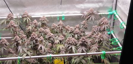 Review photo #2