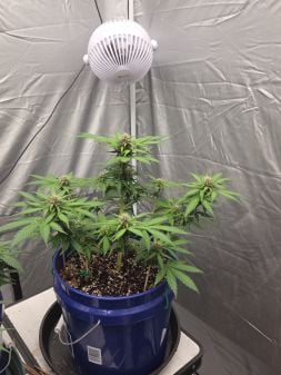 Review photo #3
