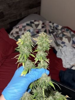 Review photo #2