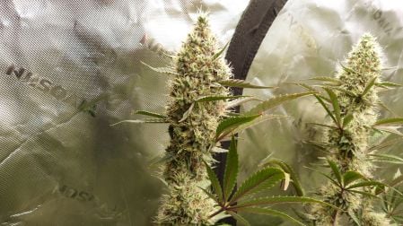 Review photo #2