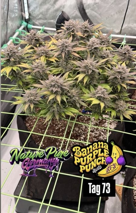 Review photo #4
