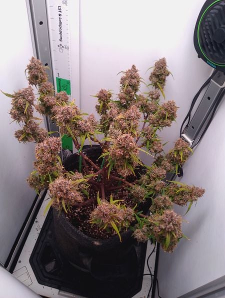 Review photo #5