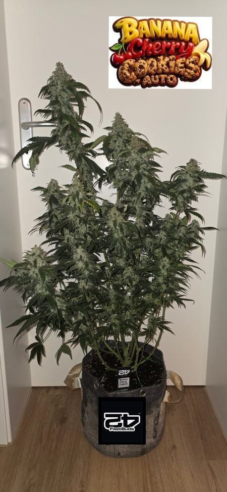 Review photo #2