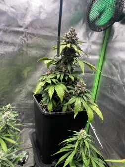 Review photo #4