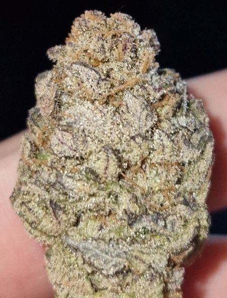 Review photo #3