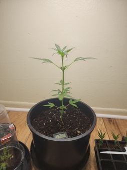 Review photo #4