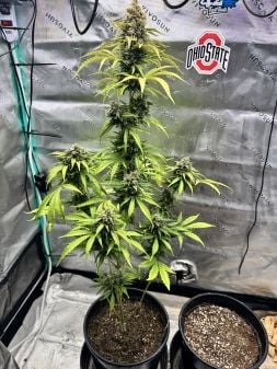 Review photo #4