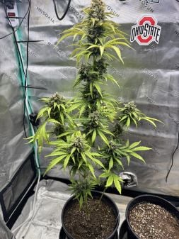 Review photo #5