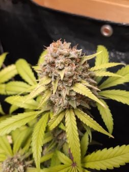 Review photo #4