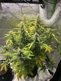Review photo #3