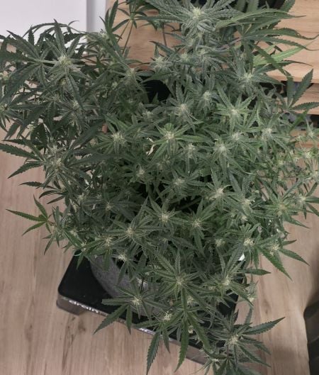 Review photo #4
