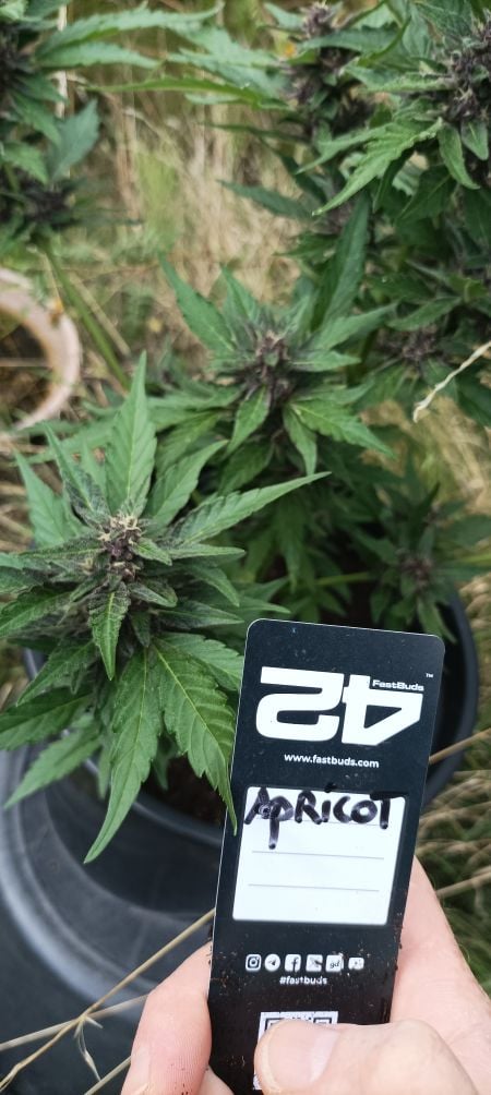 Review photo #1