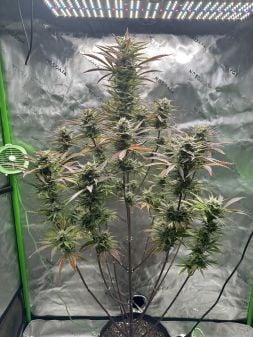 Review photo #3