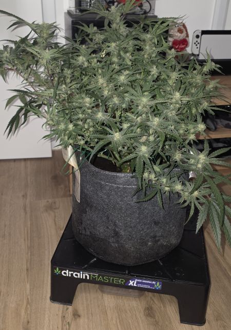 Review photo #5