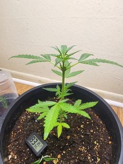 Review photo #3