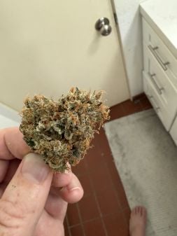 Review photo #2