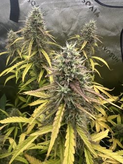 Review photo #5