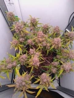 Review photo #2