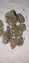 Review photo #12