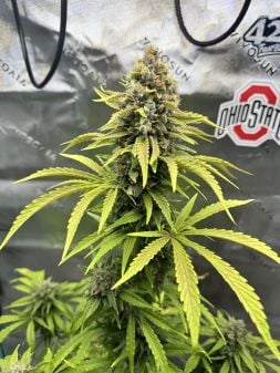 Review photo #2