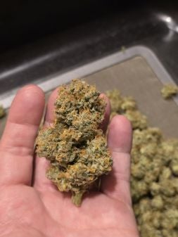 Review photo #5
