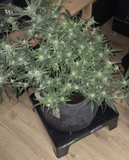 Review photo #6