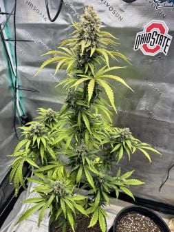 Review photo #3
