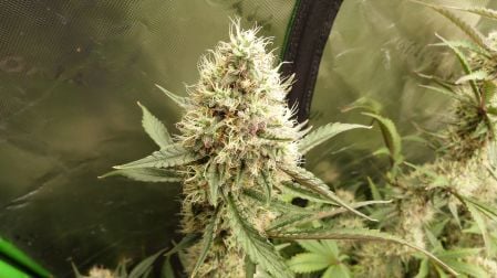 Review photo #3