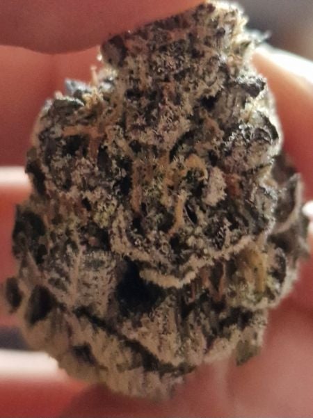 Review photo #4