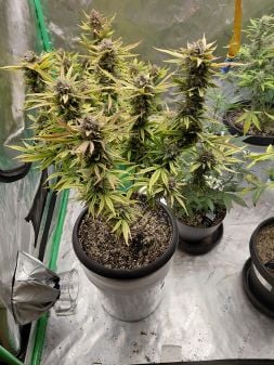 Review photo #3
