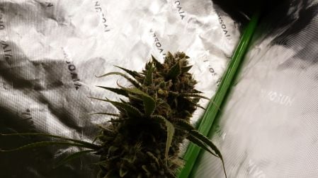 Review photo #4