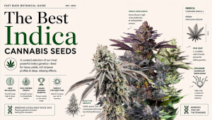 Top 10 Best Indica Cannabis Seeds of 2026