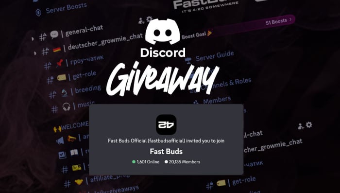 HUGE Discord Giveaway