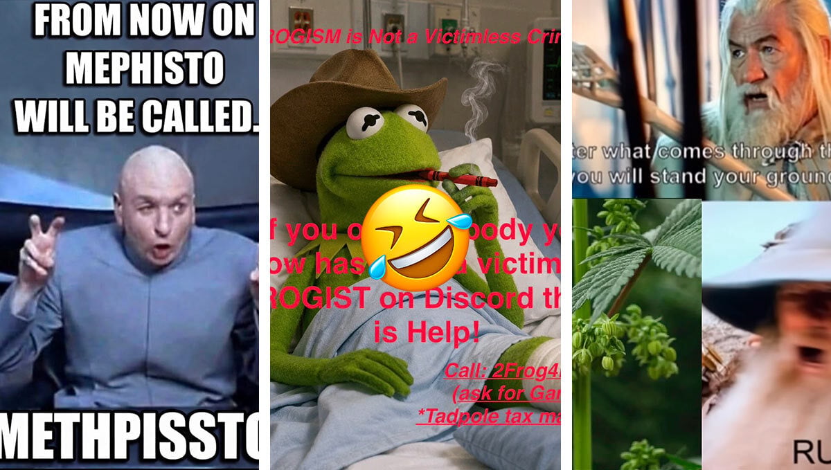 I vincitori del Contest Meme di Giugno sono qui