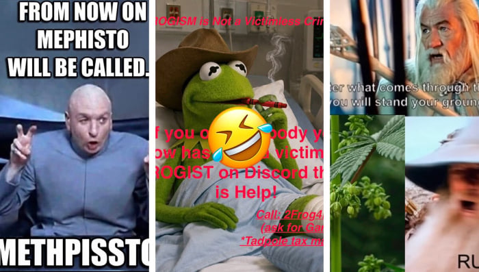 June Meme Contest Winners Are In