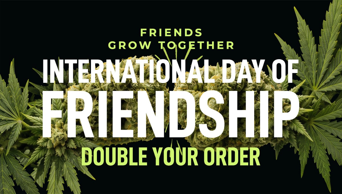Día de la Amistad: ¡Compra 1 y llévate 1 para tu compañero de cultivo!