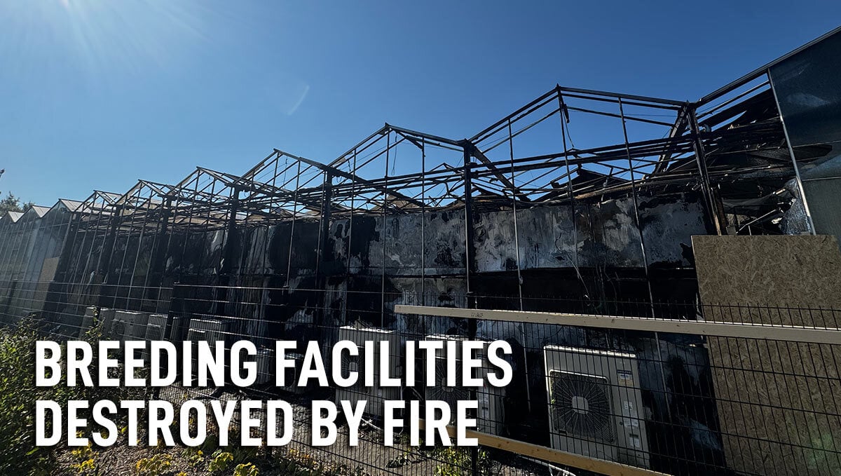Unsere Züchtungseinrichtungen wurden durch ein Feuer zerstört