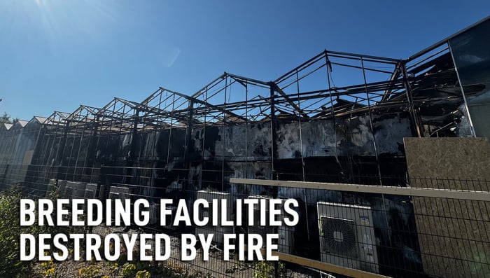 Our Breeding Facilities Were Destroyed by Fire