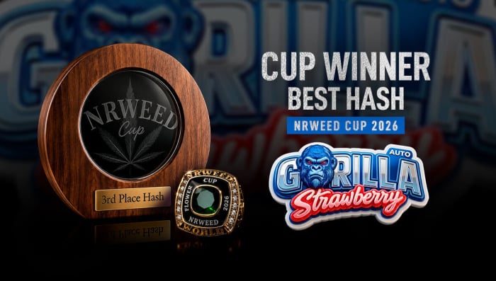 Strawberry Gorilla Auto Takes the Podium for Best Hash at NRW Weed Cup 2026