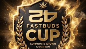 Fast Buds Cup: Garë Ekskluzive Për Gjenetikën Tonë