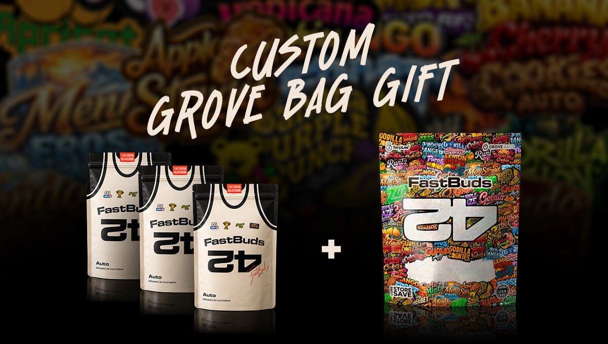 42 Grove Bag: Entwickelt für Autoflower